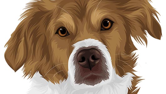 PawPrints visual